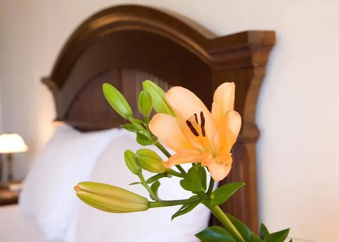 Adriatica Ξενοδοχείο με διαμερίσματα